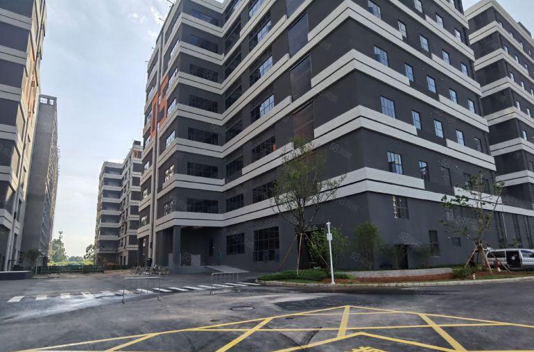 光明13万平红本原房东厂房招租合同15年租金补贴20元平