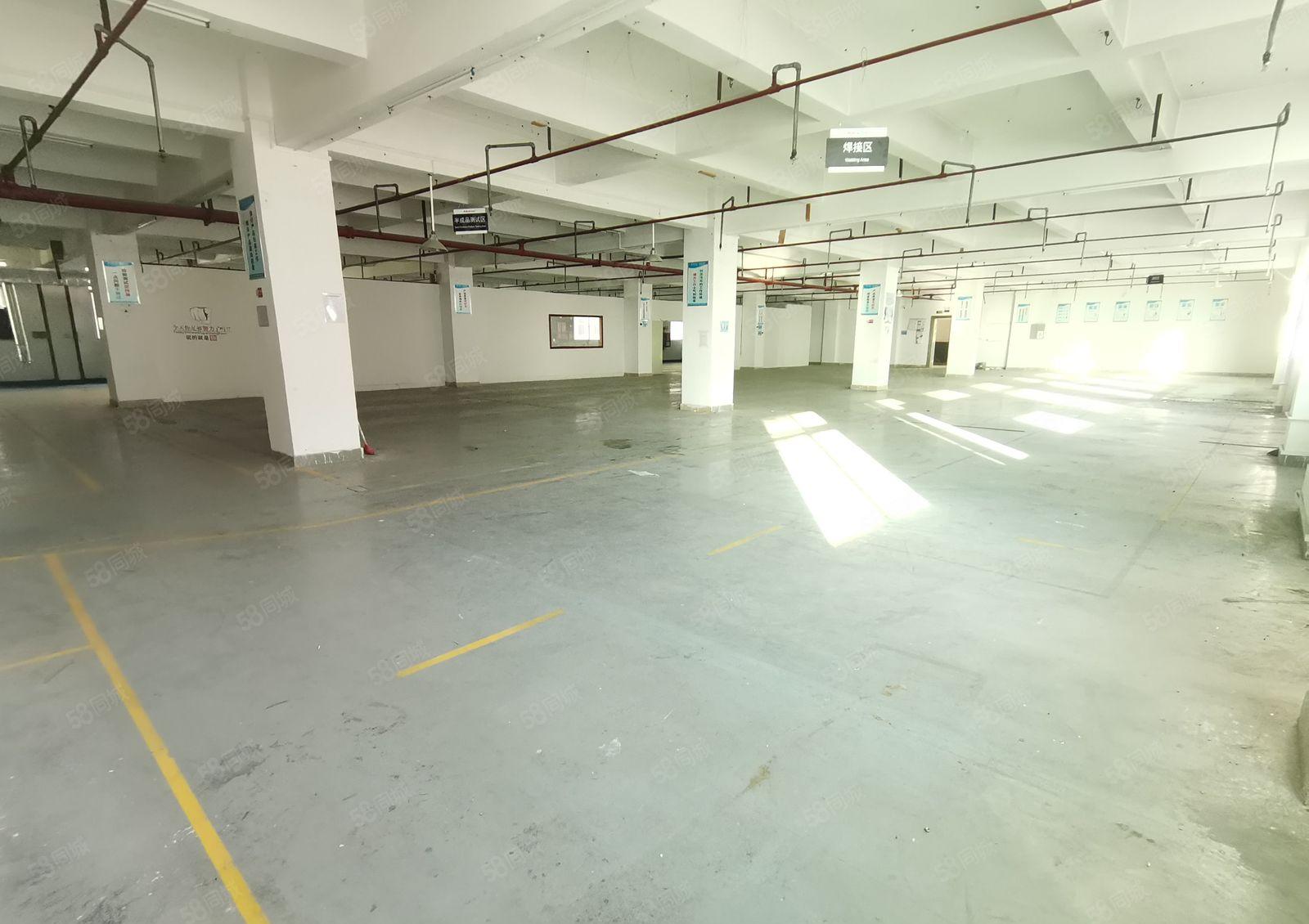 光明工业园区精装修2000平厂房出租200平分租电商