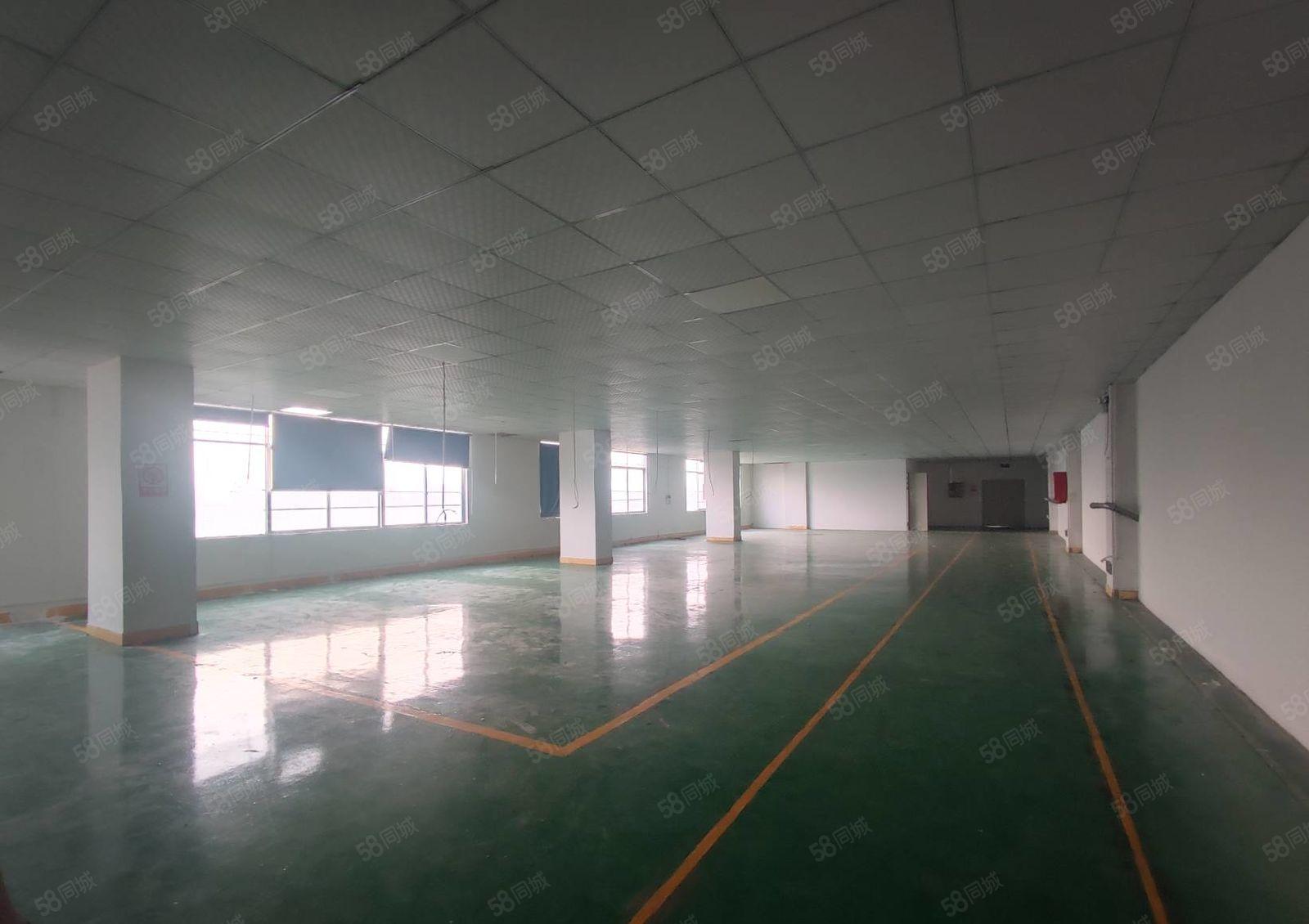 光明甲子塘新出 原房东楼上 精装修厂房700平，水电齐全！