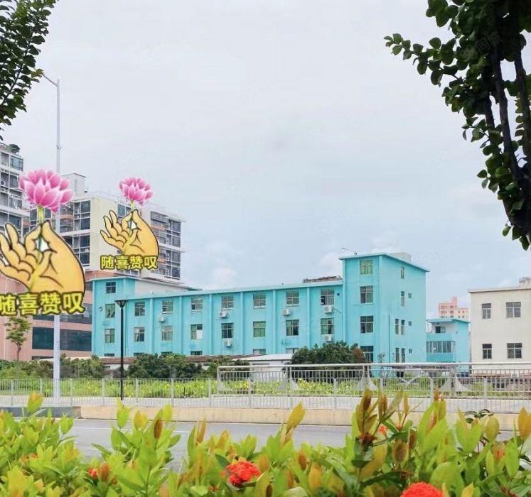 光明马田1楼楼上900和1100平出租带豪华办公室（可分割