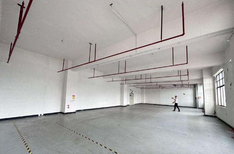 光明长圳园区500平精装厂房，带客货梯，水电齐全拎包入驻