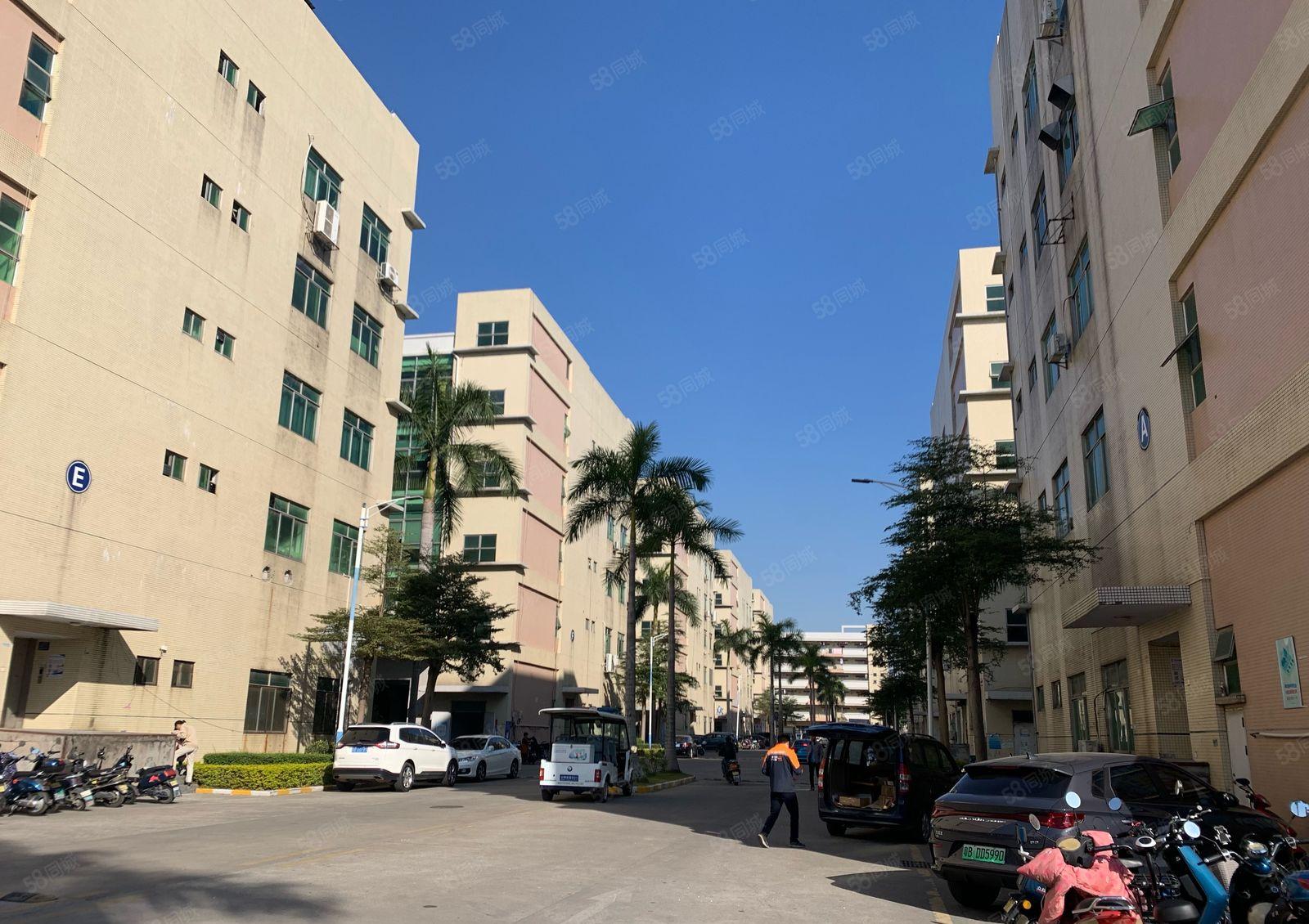 公明大型园区楼上整层2000平方 园区形象好 带现成装修