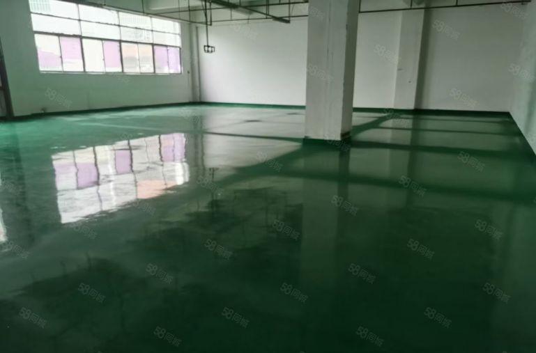 光明楼村地铁口花园式厂房出租1500平 水电到位