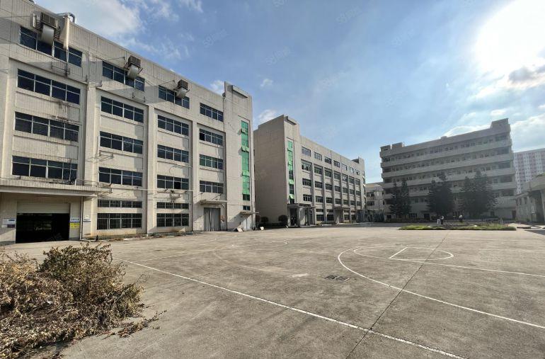 光明楼村原房东独院实际面积厂房出租10000平仓库招租可分租