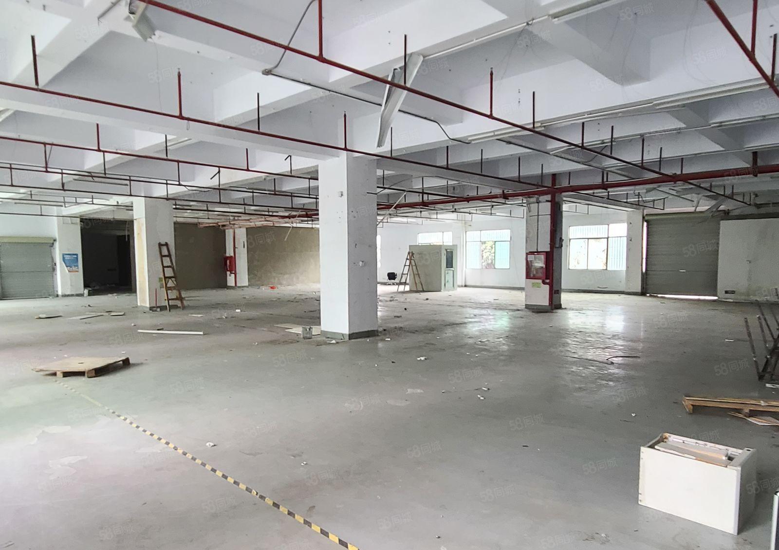 光明长圳原房东红本厂房实际面积租950平