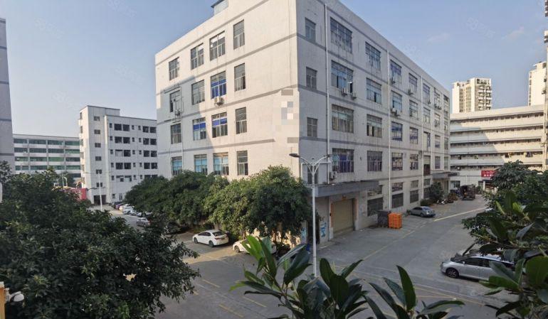 独门独院12500平一楼高6米不限行业,深圳光明公明厂房出租