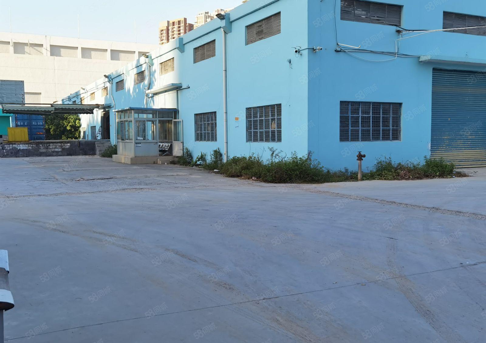 光明龙大高速出口12米高钢构独院厂房出租6300平米原房东