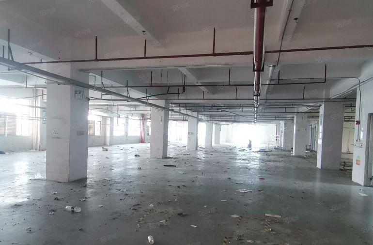 光明全新标准厂房招租，公明厂房出租，光明小面积厂房分租