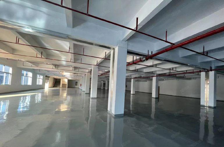 光明高新区华强创意产业园3楼整层3500平房红本厂房直租