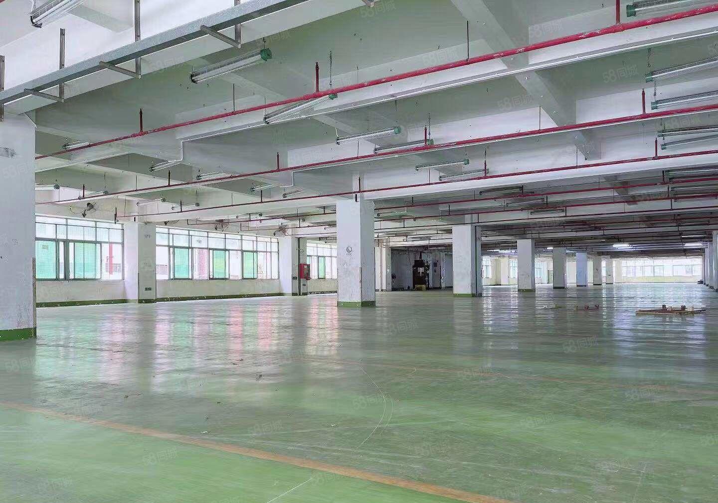 光明原房东9100平厂房，仓库，5吨货梯，卸货平台，中介无扰