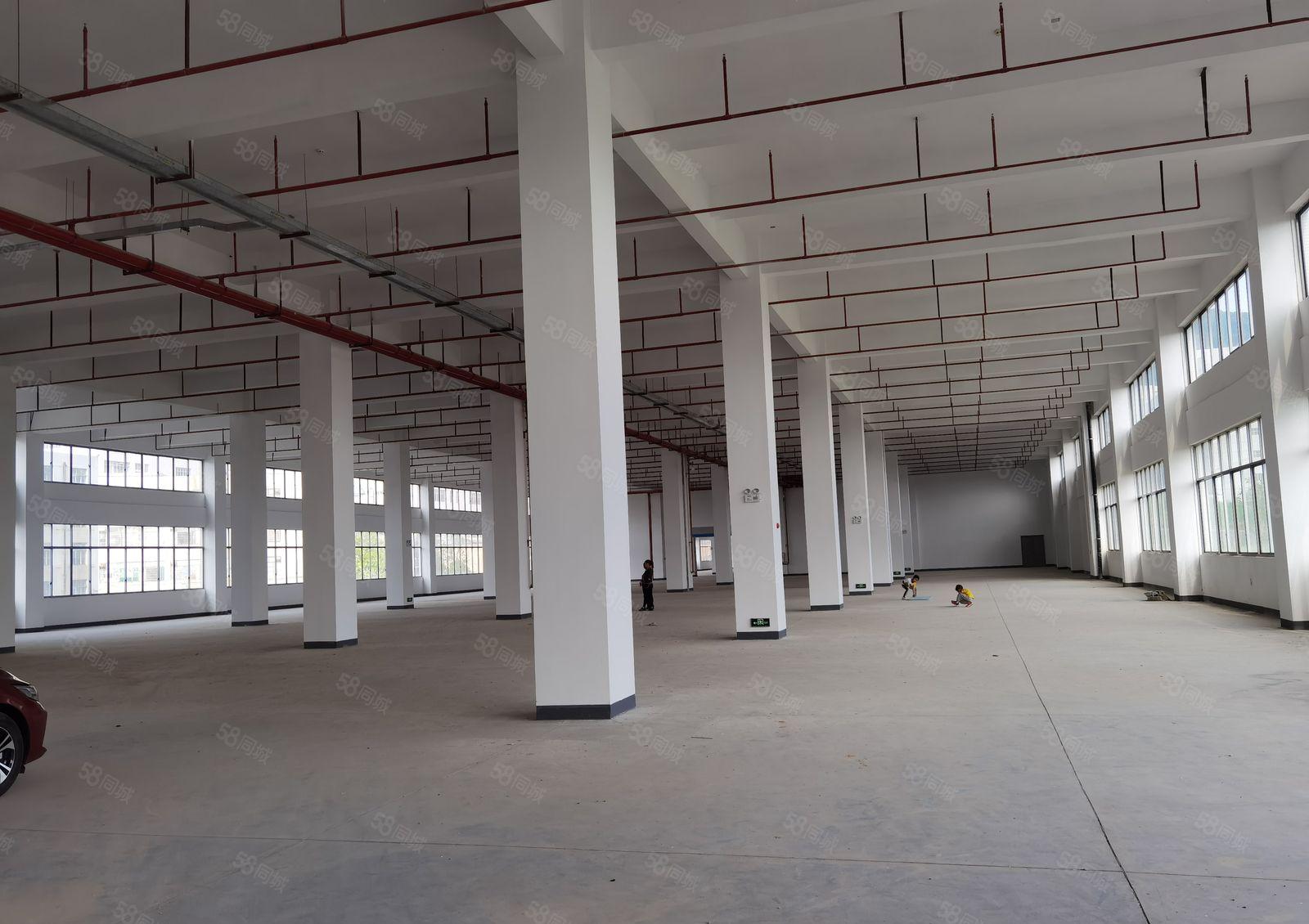 （光明高新区红本全新花园式厂房30万平米）房东直租可分租