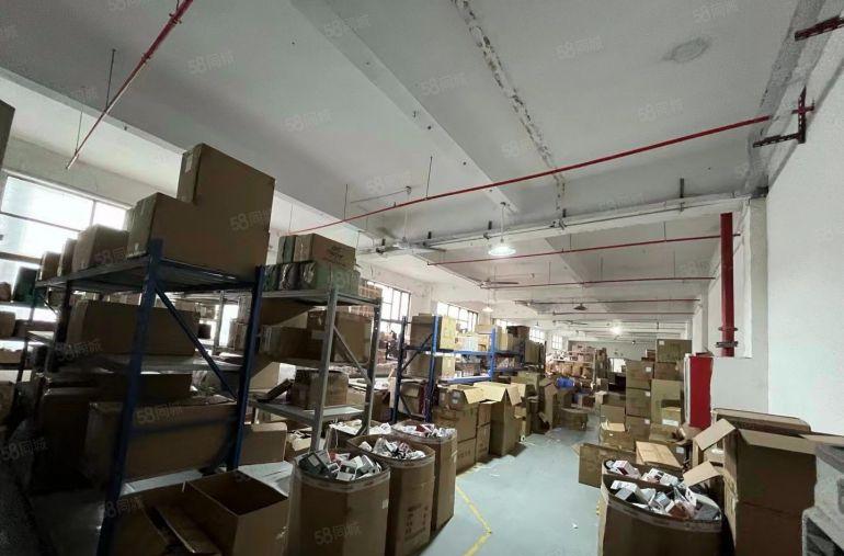 公明原房东独门独院厂房实际面积出租4200平空地大价格便宜