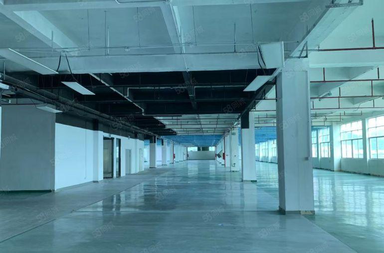 公明上村重工业厂房3600平带消防喷淋可分400平园区已电改