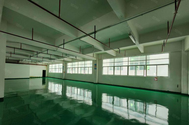 光明公明精装修厂房低价出租地铁口华强楼村马田新湖凤凰街道红本