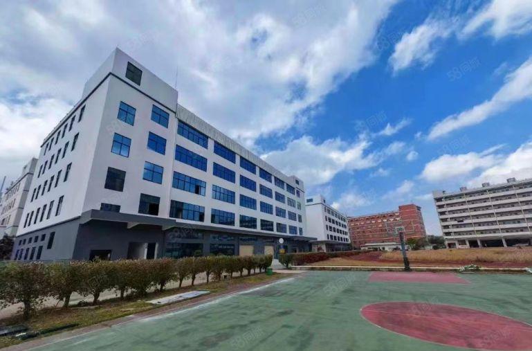 （大小分租）公明楼村原房东厂房2500~125000平200