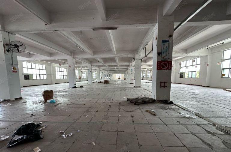 光明原房东独院厂房建筑面积出租7000平，空地大，带办公楼！