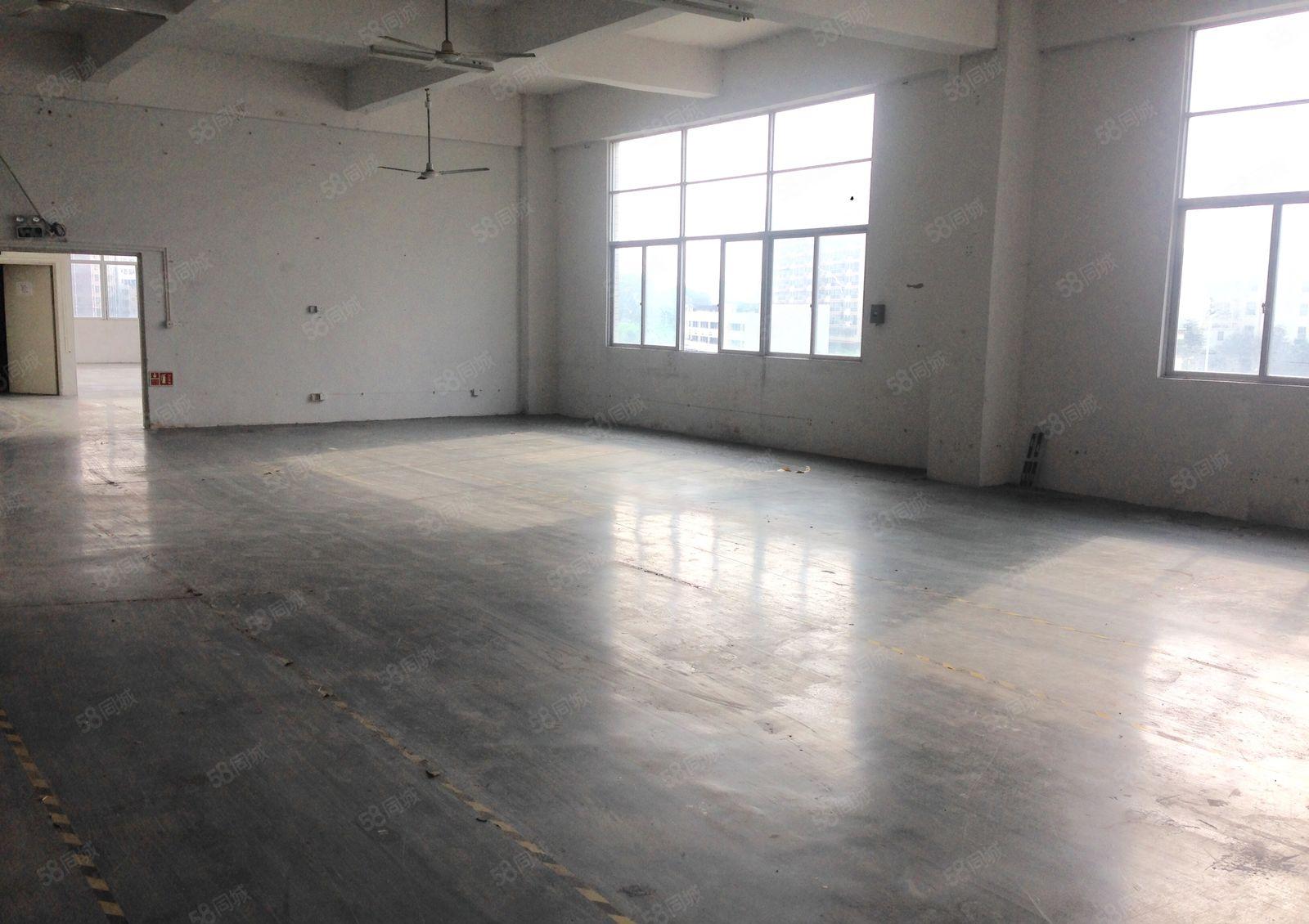 公明楼村1000平米工业厂房业主直租，价格可面谈