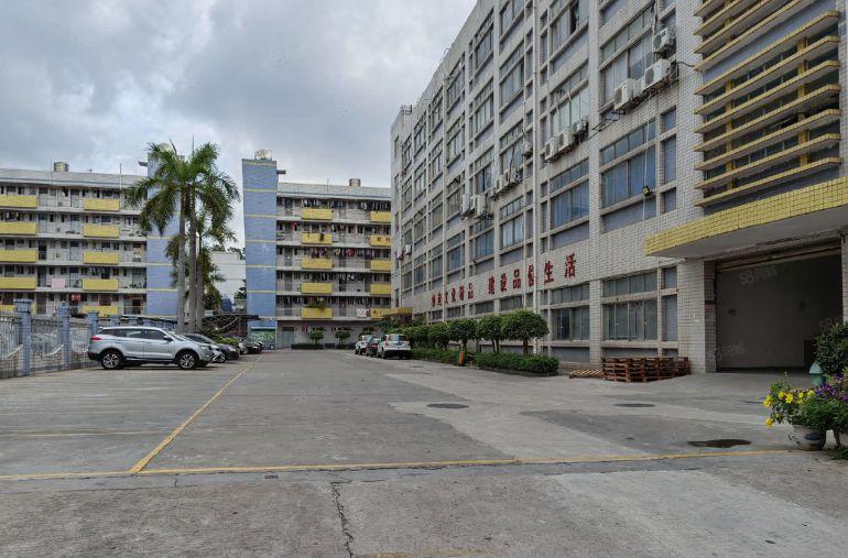 光明公明原房东新出1000平至5000平厂房仓库出租大小分租