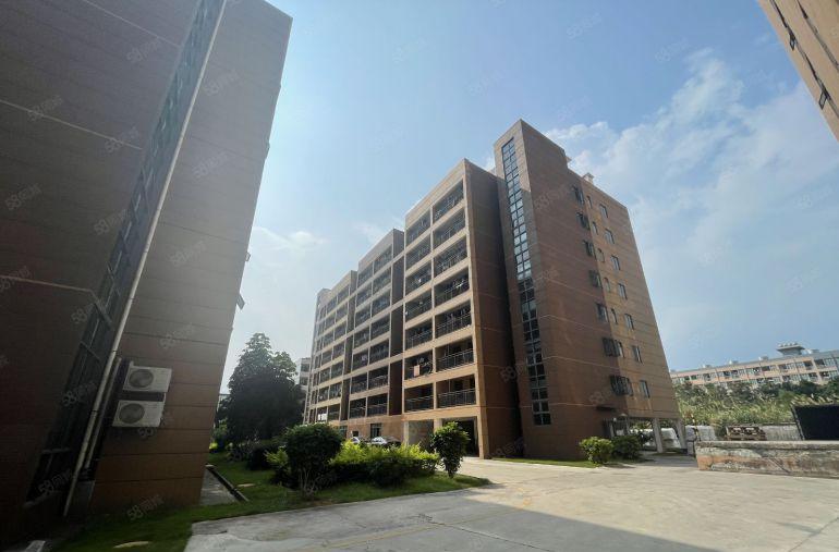 光明下村3楼新出1000平办公厂房仓库实际面积出租 大小可分