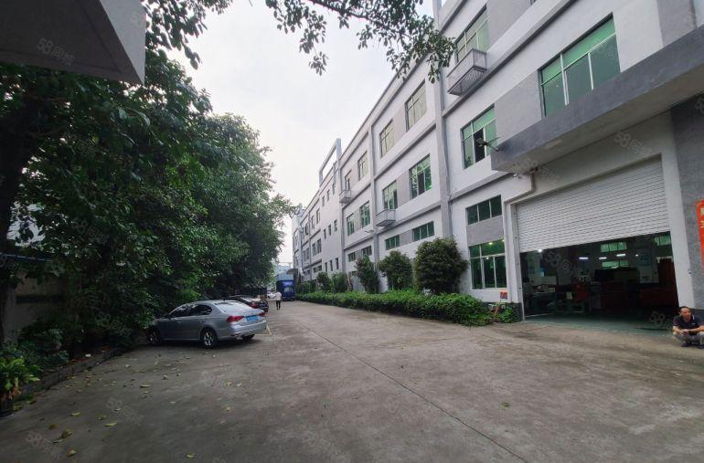 光明原房东厂房特价出租，1000平至6000平，环境优美