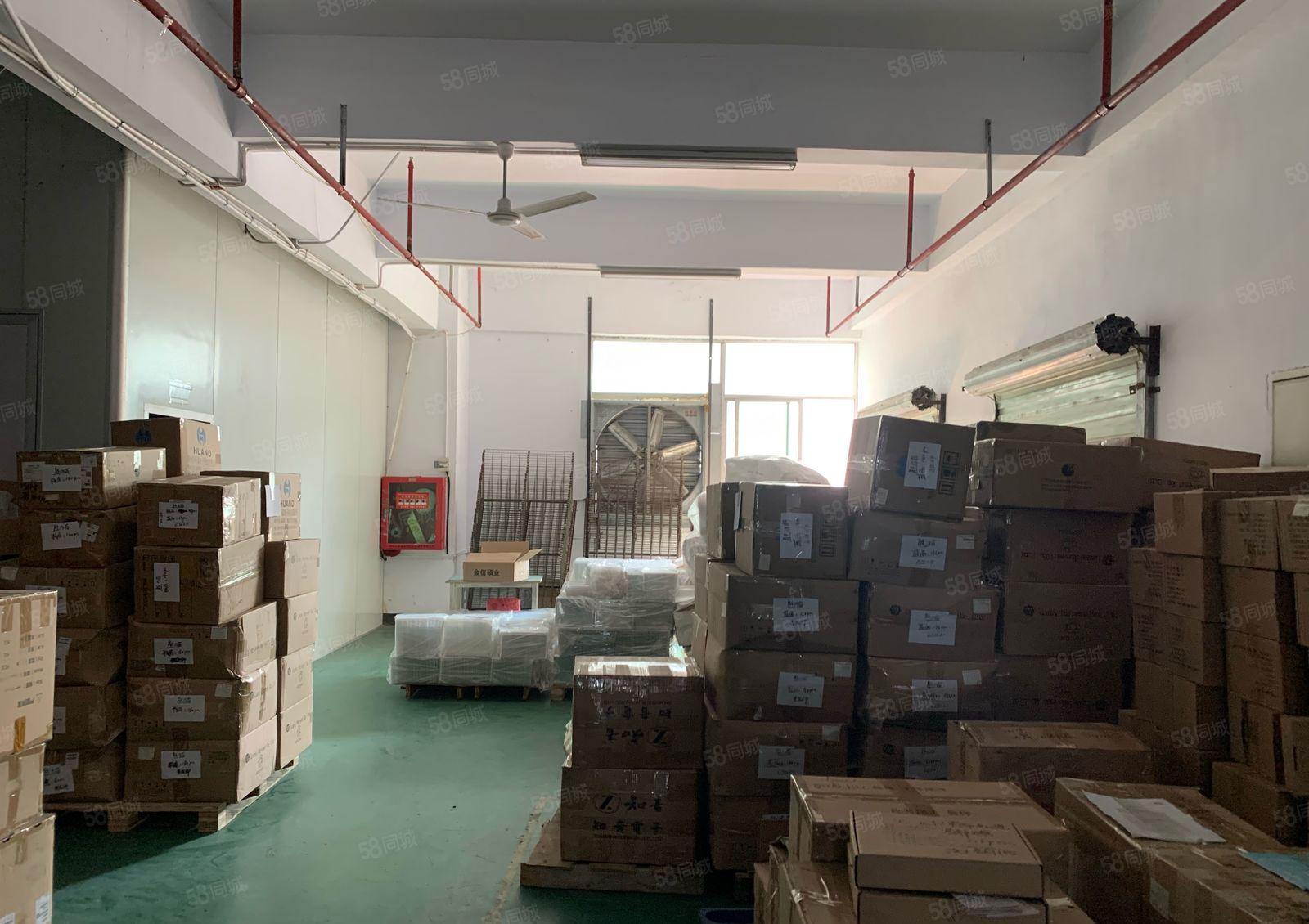 公明西田大型园区楼上1300平 带前台办公室精装修