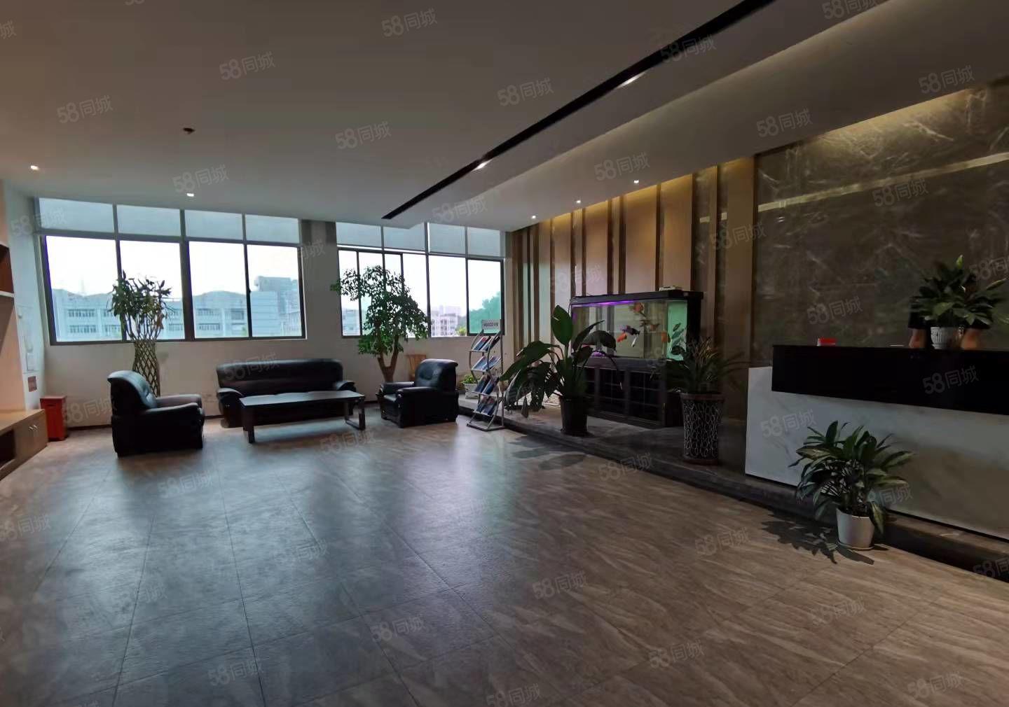 光明白花洞新出原房东红本一楼和二楼总共4000平方，豪华装修