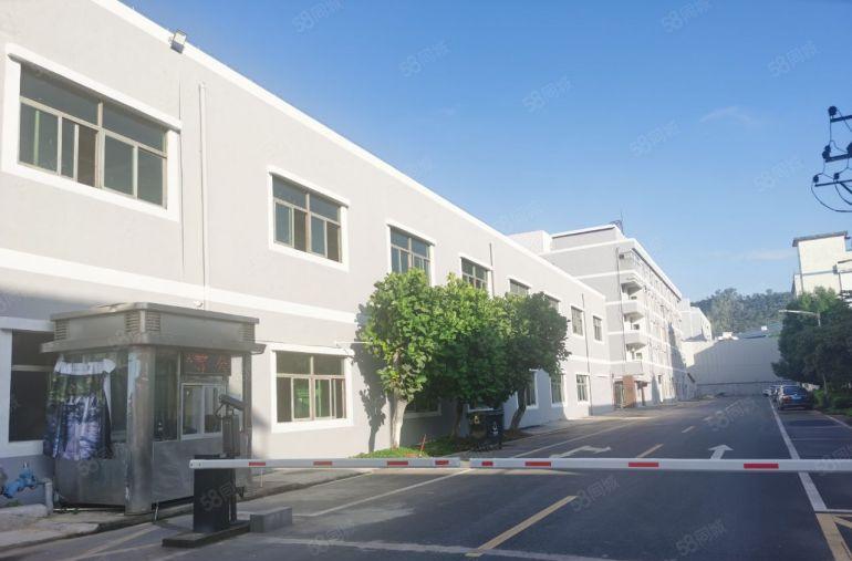 公明西田园区标准厂房和钢构厂房出租700平，大小分租空地超大