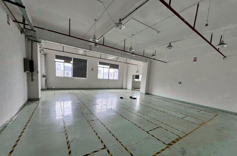 20元起田寮1260平精装修水电齐全双货梯送空中花园露台