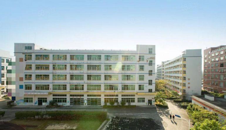 光明原房东厂房仓库出租500平方至800平方精装修办公电商