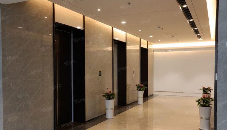 公明红本厂房出租可满足企业上市，医药生产立项200~1000