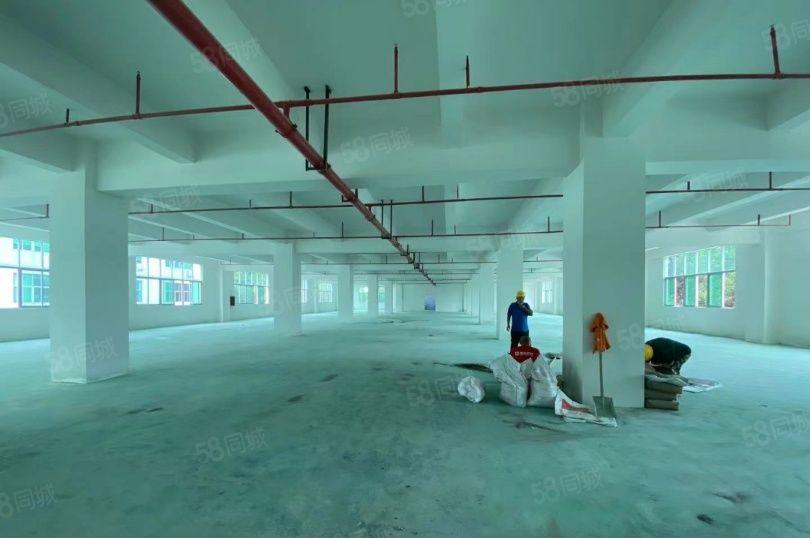 可大小分租！光明甲子塘高薪科技园区4万平精装修独院厂房出租