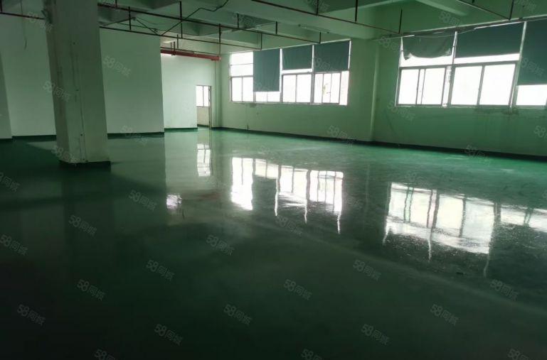 光明楼村地铁口花园式厂房出租1500平 水电到位
