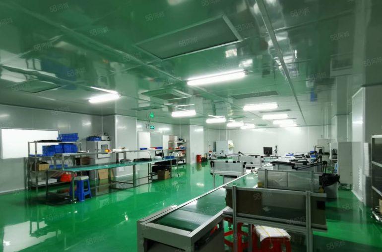 光明白花洞1000平方厂房出租转租现成精装修无尘车间可分租