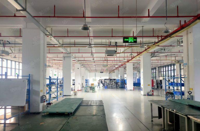 公明田寮高速路口红本原房东独院厂房8000平实际面面积可分租