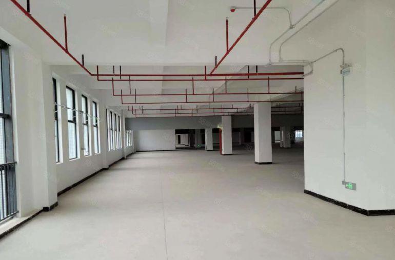 13元租全新红本厂房，仓库1000~4300平可做纸箱，电池