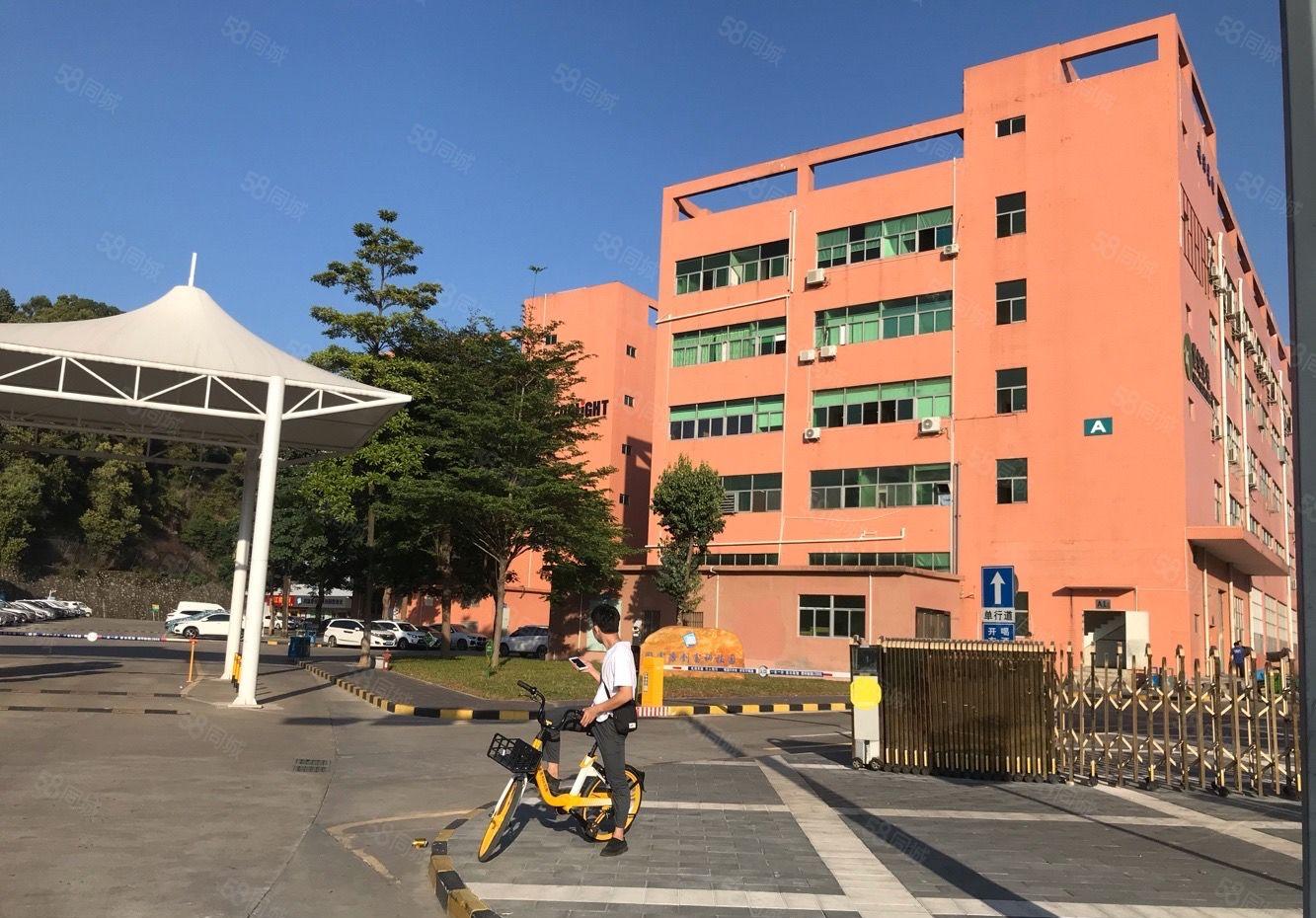 光明村委厂房独院18000平厂房仓库出租无公摊 合同长