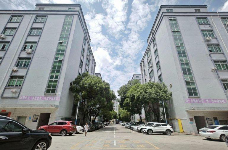 光明300平方至5000平方厂房出租 原房东1楼仓库出租