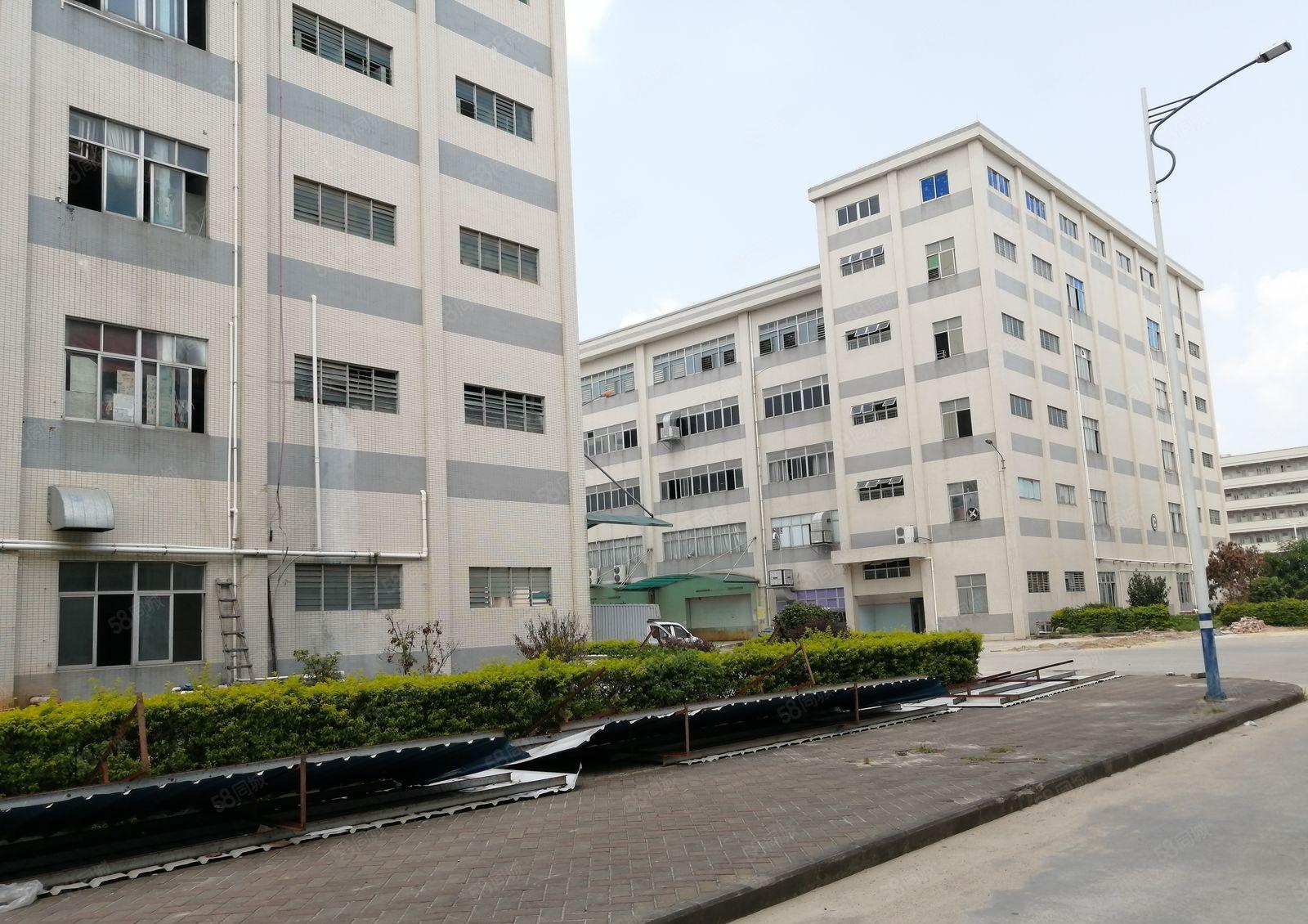 光明田寮工业园一楼300平500平1000平厂房仓库出租转租