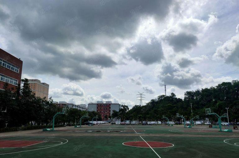 光明长兴科技园旁原房东总面积3.1万平红本厂房可分租低价出租