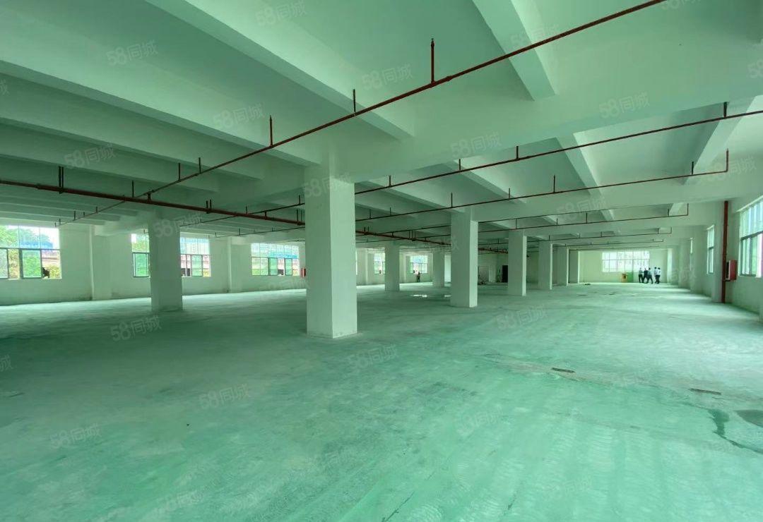 光明原房东红本厂房仓库500平1000平2000平出租