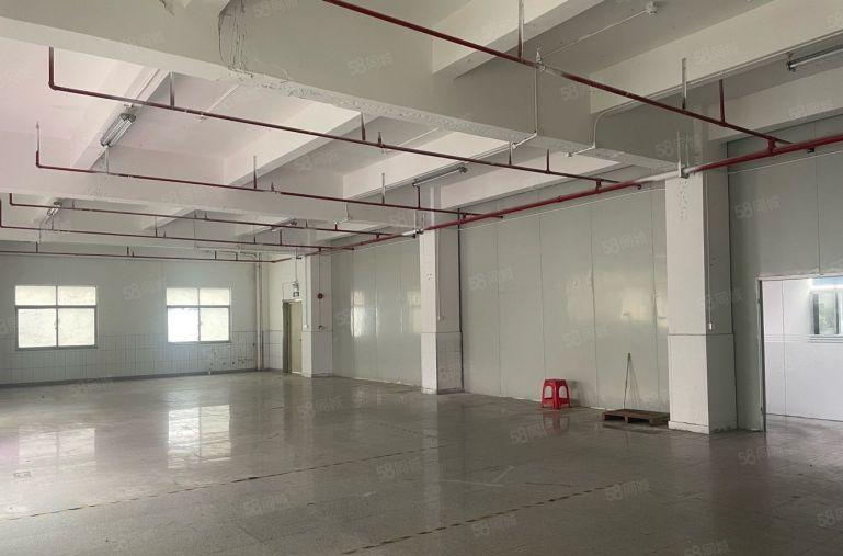 公明新出小面积（200平方）可合租可整租500平方有免租期