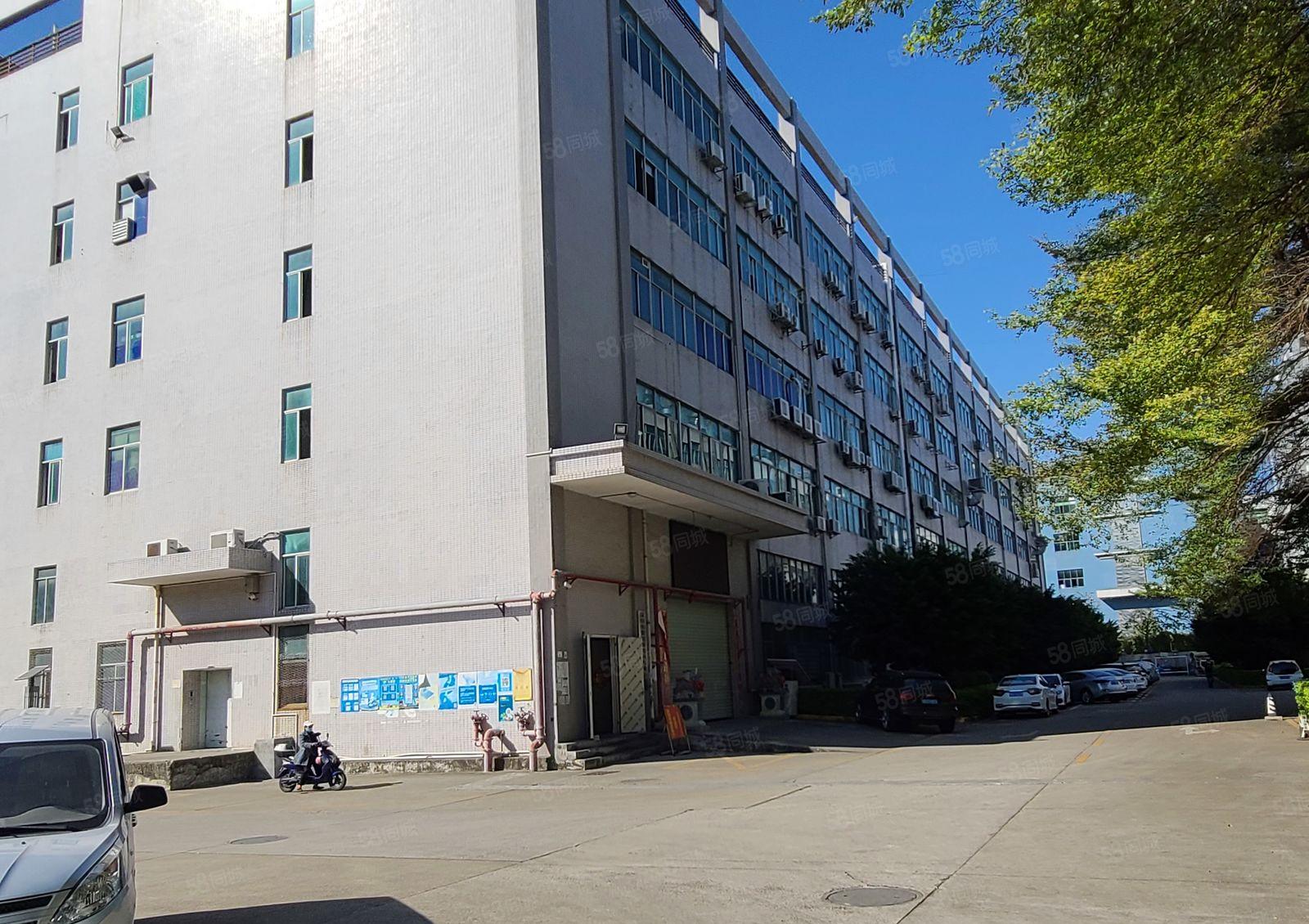 光明原房东一楼红本厂房大小可分