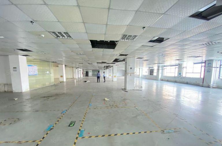 光明公明独栋厂房单层面积1750大小可分配有宿舍停车位充足