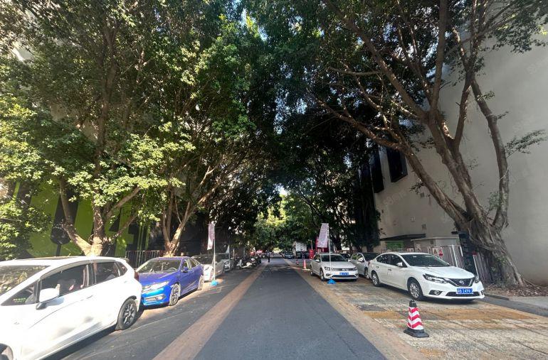 光明凤凰城地铁13层5000平起租1600平独门独院村委