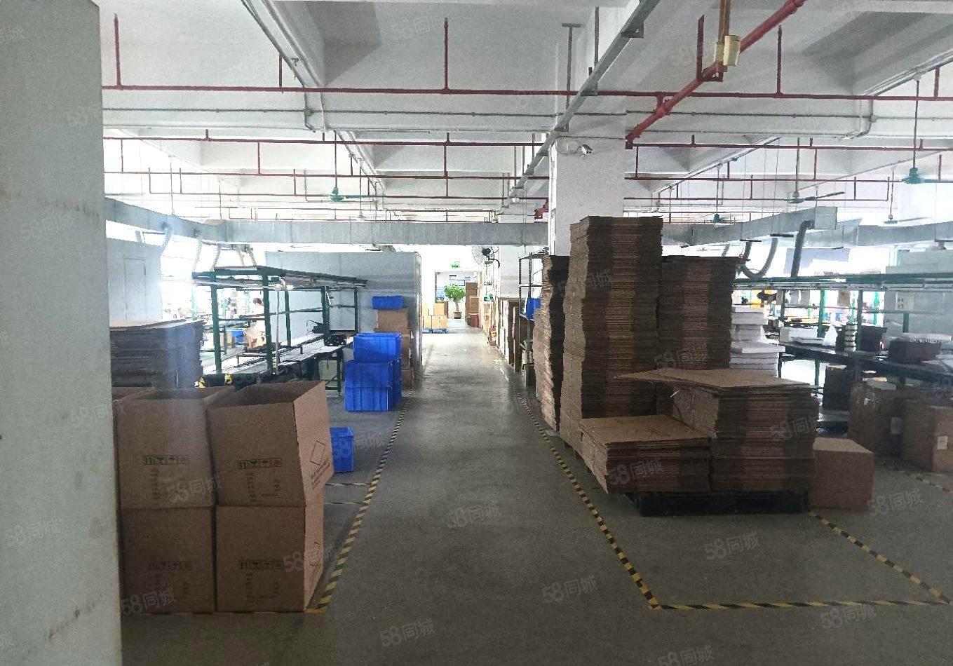 公明马山头靠电子城原房东楼上1500平方米红本精装修厂房出租