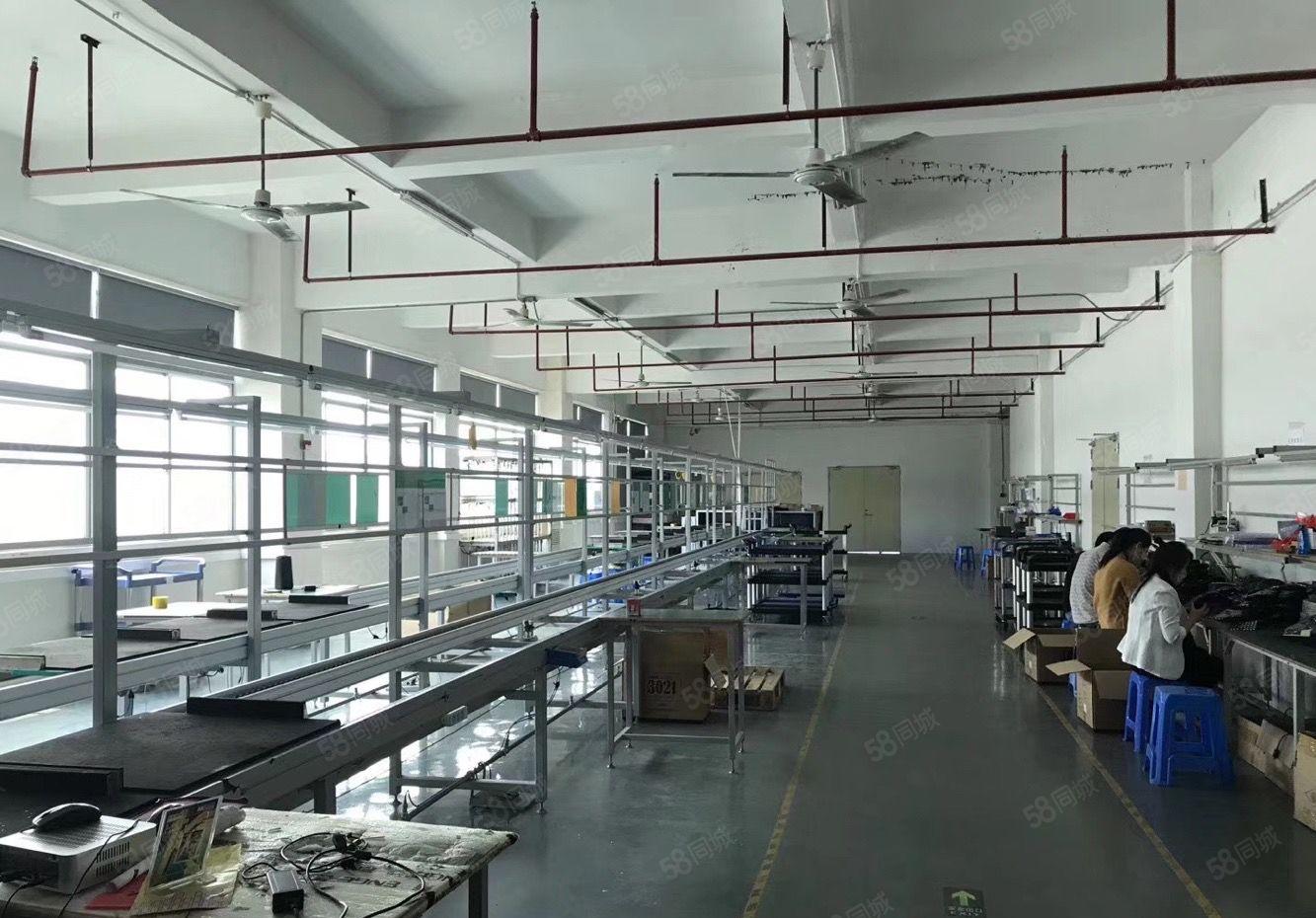 公明汽车站新出原房东独门独院5000平方厂房招租