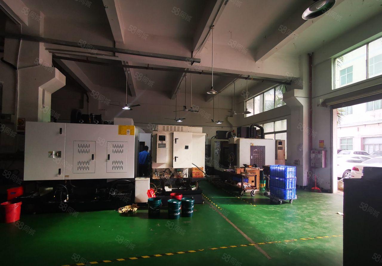 东坑新出一楼标准厂房300平带装修