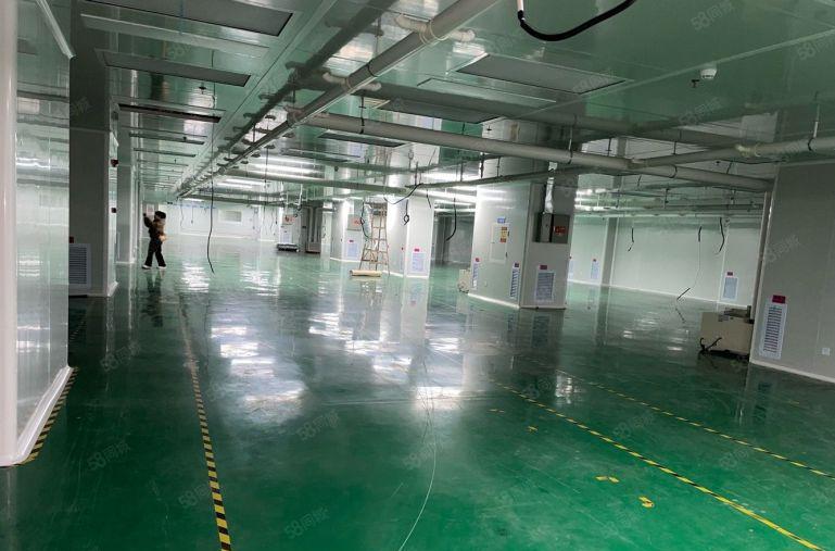 光明高薪园200平方600平方至2000平方低价仓库厂房出租