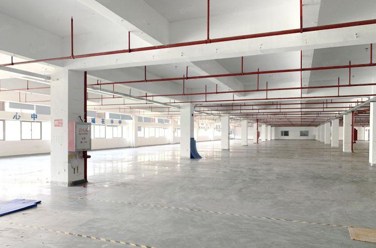 一手业主红本厂房直租使用率92租金40元起