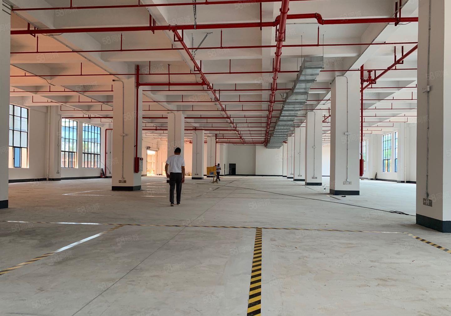 红本全新15万平方25元起开发商直接出租可分租